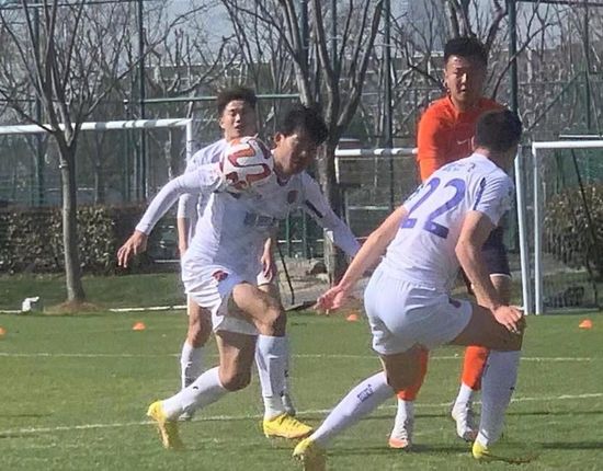 村上里沙 种子